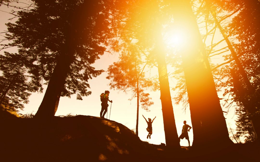 How to Live on Purpose